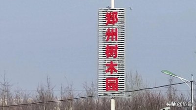 ​郑州树木园，一潭碧水，太美了