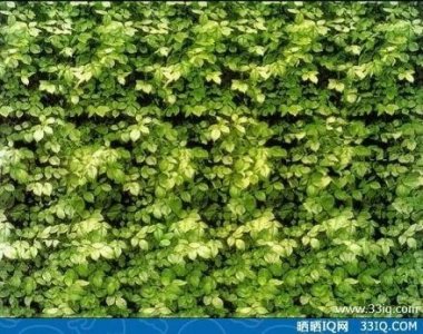 ​一组难度很高的三维图，你能搞定几张？