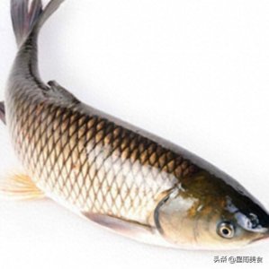 ​味道一流的黄焖鱼，好吃又养胃