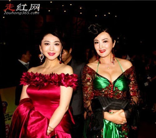 田歌和田岷是什么关系 她们两个是不是双胞胎呢