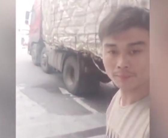 辉哥辉嫂是什么人