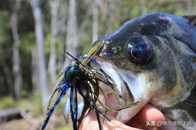 ​路亚钓组你知道多少？（二）硬饵钓组介绍及图解