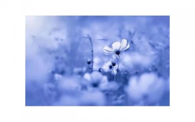 ​马天宇与郑爽，马天宇的暖在郑爽身上真能感觉到甜的滋味