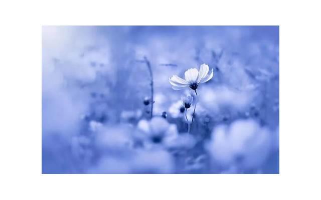 马天宇与郑爽，马天宇的暖在郑爽身上真能感觉到甜的滋味