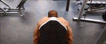 女明星露点照片（秀智学雪莉放飞自我露点上镜）