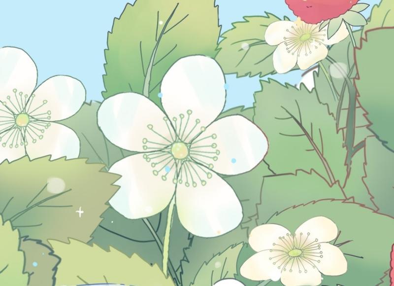 住养老院的姨妈想来家过年，原本同意，隔天接到大哥电话果断拒绝