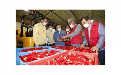 ​婚礼拍摄技巧攻略大全