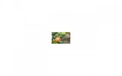 ​大学生择业问题的认识和思考