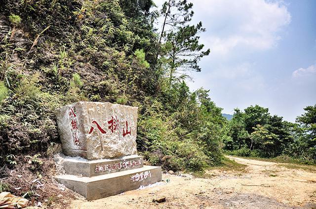 广东藏着一个天空草原,高山草原风光美炸了