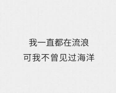 ​我一直都在流浪可我不曾见过海洋是什么歌（残酷月光歌词）